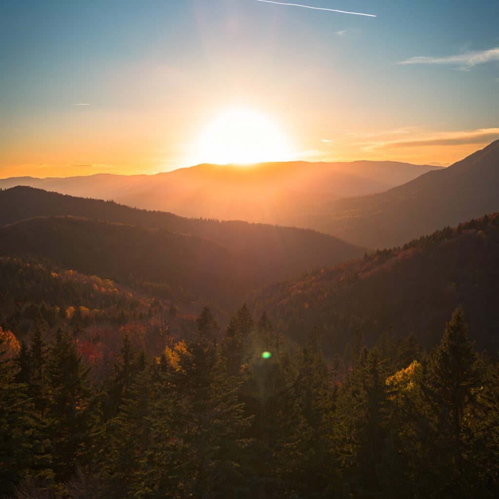 Toamna Tabla Butii 1